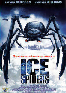 冰冻蜘蛛海报