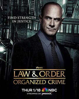 法律与秩序：组织犯罪第四季 海报